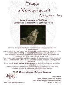 stage voix 26-03-2016